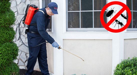 Yayladere Dezenfeksiyon böcek ilaçlama ve haşere kontrolü — ilaclama-tr.com